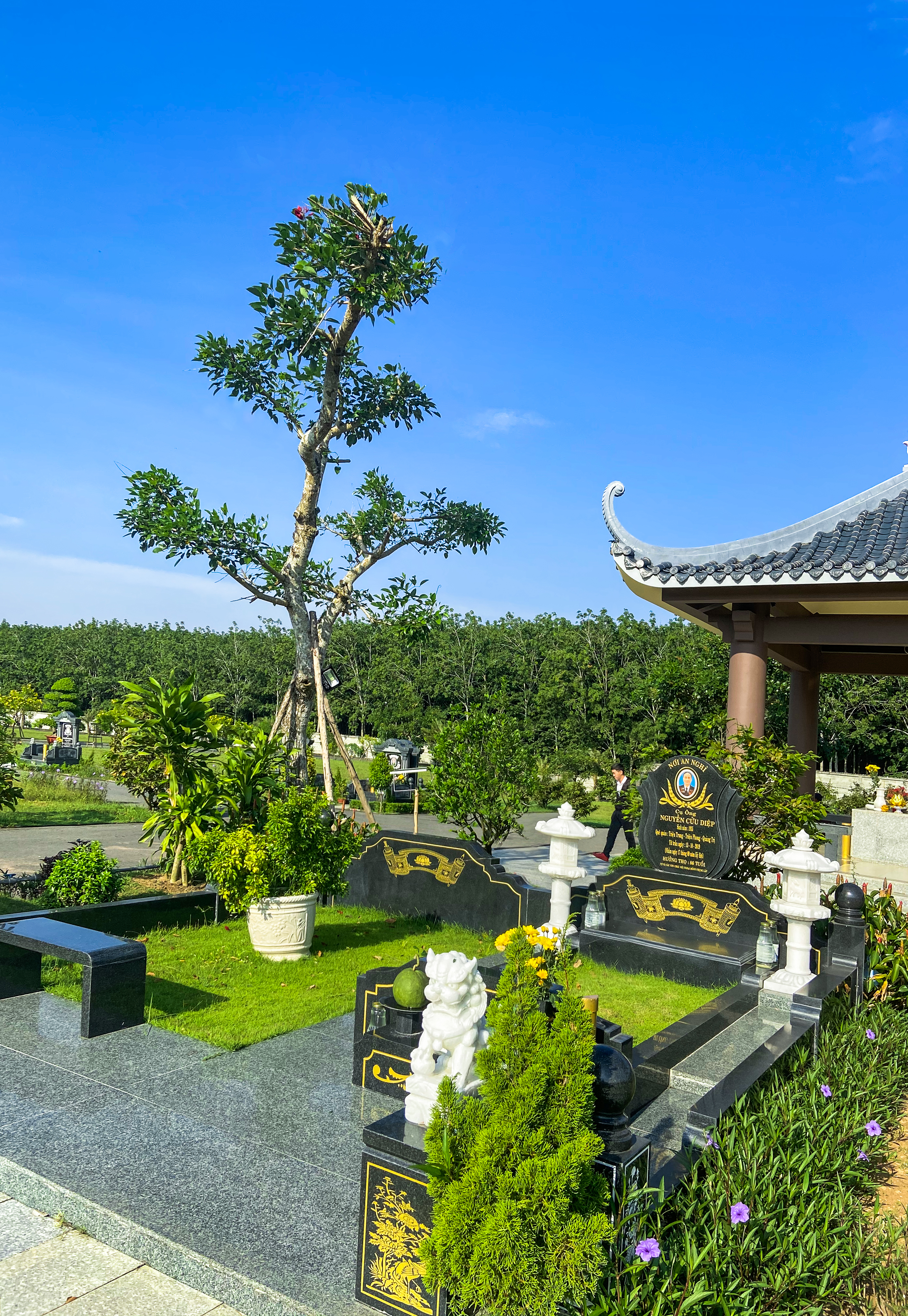 Mộ Đôi Cao Cấp